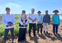 Program CSR Pertanian Dorong Percepatan Musim Tanam di Kabupaten Banjar