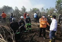 Wagub Kalsel Hasnuryadi Tinjau Penanganan dan Serahkan Bantuan Relawan Karhutla