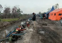 Dishut Kalsel 24 Jam Jaga Hutan Lindung Liang Anggang Dari Karhutla