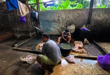 RPU Modern Basirih Tak Dilirik Investor, DKP3 Buat Skema Lain