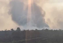 Karhutla Kalsel Tercatat 2.332 Kejadian, Lahan dan Hutan Terbakar 12.339,74 H