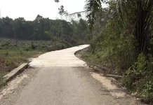 Perkuat Konektivitas Tabalong–Balangan, Bupati Tabalong Tinjau Jalan Kaong–Liyu