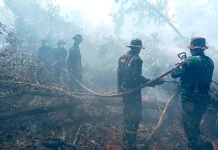 Pantang Mundur Satgas Lanud Sjamsuddin Noor Jinakkan Bara Karhutla Gambut