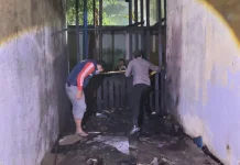 Bank Sampah SDN Antasan Besar 1 Terbakar, Asal Api Diduga Bukan Korsleting