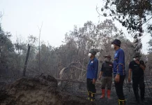 Karhutla Banjar Capai 1.192 Hektare, Kejadian Mulai Menurun