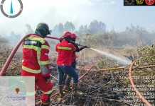PT Arutmin Indonesia Bantu Penanganan Karhutla di Banjarbaru