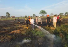 Tinjau Penanganan Wagub Kalsel Hasnuryadi Ikut Terjun Padamkan Karhutla
