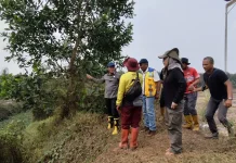 Wamenko Pangan: Gambut Gunung Damar Rusak Parah, Penanganan Karhutla Harus Diubah