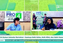 Strategi 5N Bantu UMKM Naik Kelas