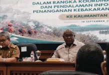 DPD RI Dorong Roadmap Penanganan Karhutla Berkelanjutan di Kalsel