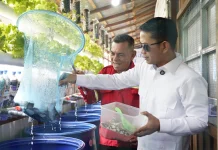 Sampah Sungai Andai Diolah Jadi Lele hingga Aquaponik