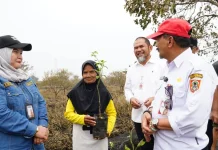 Petani Keruk Terdampak Karhutla di Batola Terima Bantuan Bibit