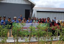 Distan Banjar Dorong Pertanian Modern melalui Farm Field Day