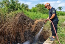 Kebakaran Lahan Meluas, Banjarmasin Selatan Catat Kejadian Terbanyak
