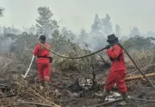 Karhutla dan Ketegasan yang Kerap Berhenti di Podium