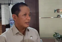 Pemerintah Akan Membangun Tata Kelola Air Permanen untuk Karhutla di Lahan Gambut