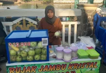 Rujak Jambu Kristal Segar dan Lezat Buatan Ibu Ayu
