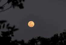 Harvest Moon Hiasi Langit Akhir September 2026