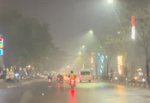 Kabut Asap Tebal, Supian HK Dorong Penindakan Tegas Pelaku Pembakaran Disengaja