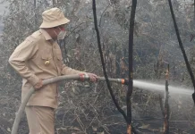 Gubernur Kalsel Buka Sayembara Pelapor Pembakaran Lahan, Janjikan Bonus