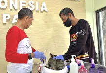 Cegah Zoonosis, DKP3 Banjarmasin Sediakan 200 Vaksin Rabies dan Vitamin Gratis