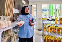 Cek Kios Pangan Hingga Harga Beras, Lisa Tekankan DKP3 Harus Jaga “Piring Makan” Warga