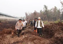 Tangani Karhutla Gubernur Kerahkan Ekskavator Bersihkan Lahan Kawasan RSJ