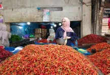 Kemarau Panjang Dorong Harga Pangan di Banjarmasin Naik