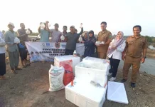 Pemprov Kalsel Dorong Budidaya Udang Windu Naik Kelas