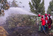Karhutla Mereda, Pemko Banjarbaru Siapkan Mitigasi Jangka Panjang