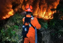 Kebakaran Lahan di Perbatasan Ancam Permukiman Banjarmasin