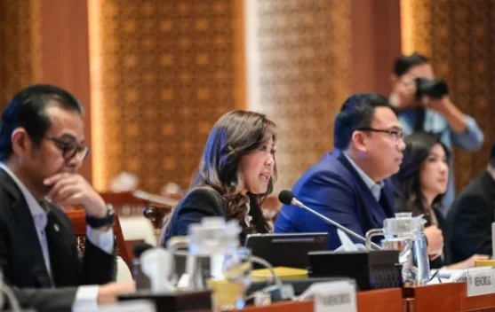 Pemerintah Dorong Platform Digital Punya Kantor Perwakilan