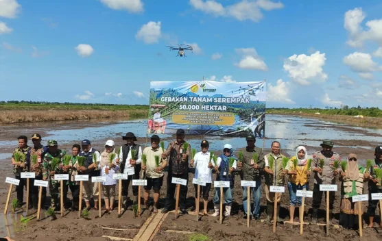 Kementan RI Perkuat Swasembada Pangan Nasional hingga Kalsel