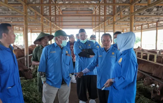 Komisi II DPRD Kalsel Dukung Ketahanan Pangan lewat Penguatan Peternakan