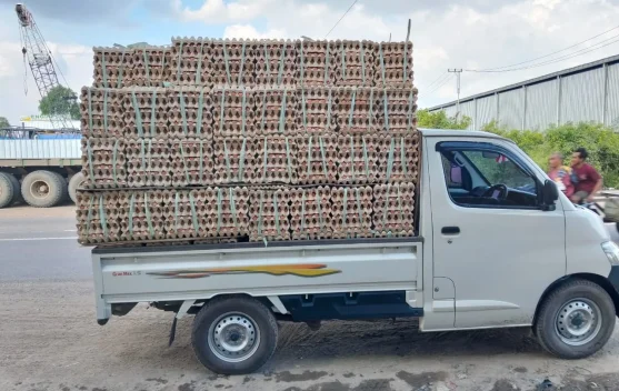 Murah, Harga Telur Ayam di Banjarbaru Tembus Dua Puluh Lima Ribu