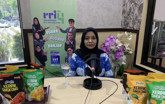 Shofia Snack Kembangkan Keripik Singkong hingga Pasar Nasional