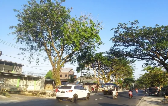 Kalsel Hari ini Umumnya Cerah Berawan