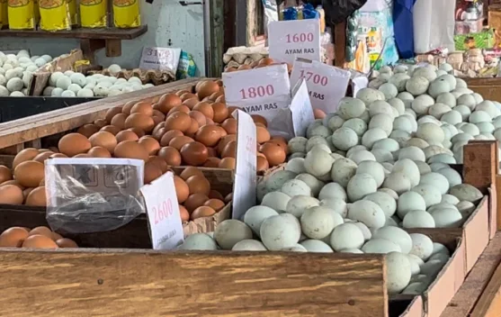Harga Telur Relatif Terkendali, Permintaan Meningkat jelang Maulid