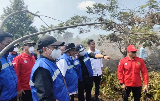Karhutla Banjarbaru Terkendala Air, Menteri LH Siapkan Sumur Bor