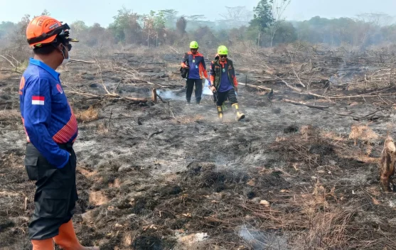 Antisipasi Api Susulan, BPBD Balangan Sisir Titik Rawan