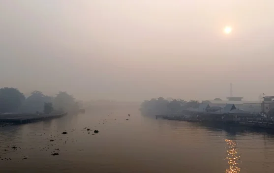 Waspada Karhutla, Hindari Pemicu Kebakaran