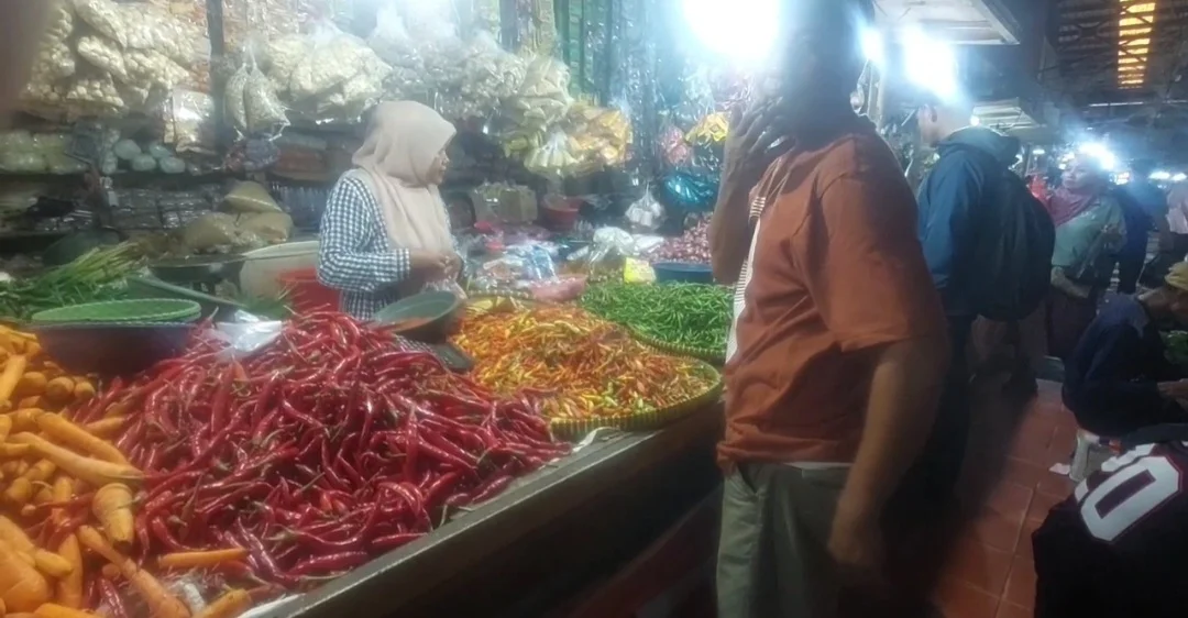 Pemerhati Nilai Distribusi Cabai Jadi Solusi di tengah Ancaman Kekeringan | LPP RRI