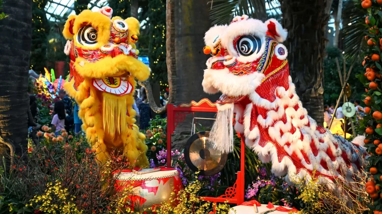 Barongsai Meriahkan Imlek di Vihara Ananda Avalokitesvara