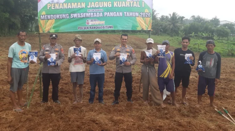 Polsek Rangkasbitung Tanam Jagung Hibrida Bersama Poktan Citeras