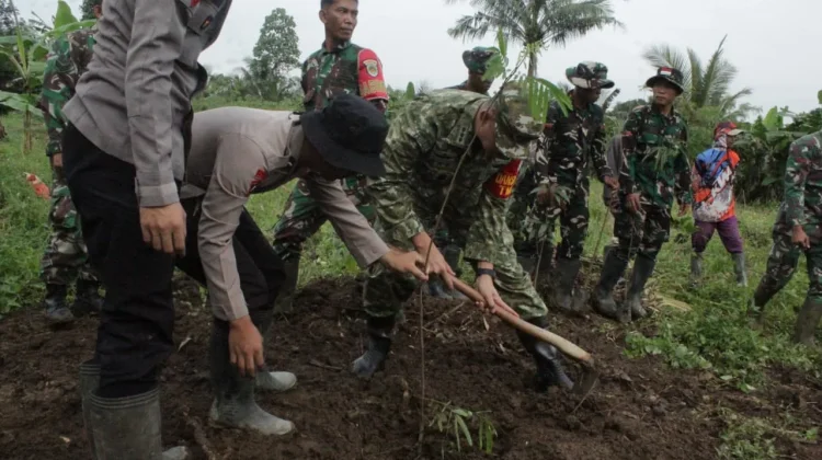 Dansatgas Tanam Pohon Keras di Lokasi TMMD Sukamenak