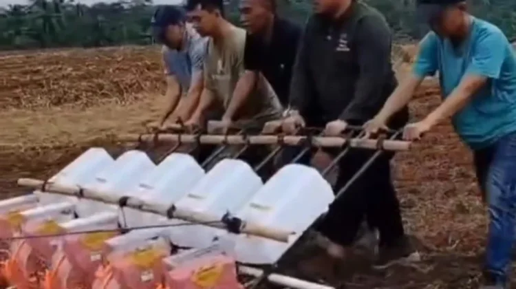 Distan Lebak Tanam Perdana Kedelai Bersertifikat