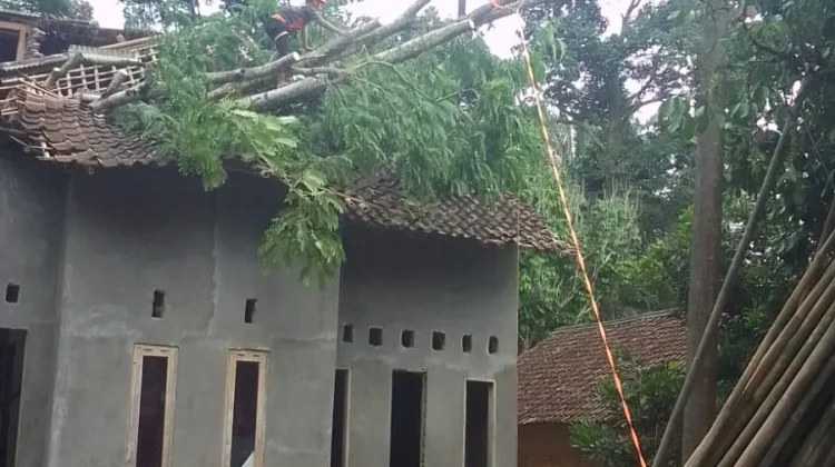 BPBDPK Pandeglang Evakuasi Pohon yang Menimpa Rumah Warga Tapos