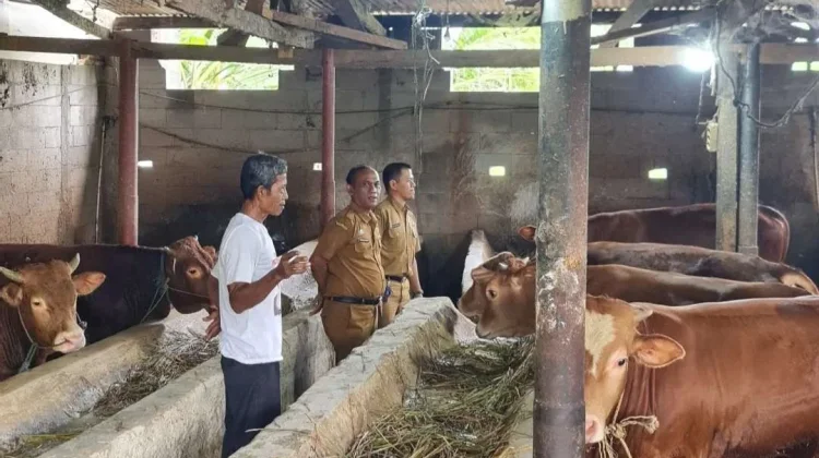 iSIKHNAS Dorong Deteksi Dini Penyakit Hewan Lebak