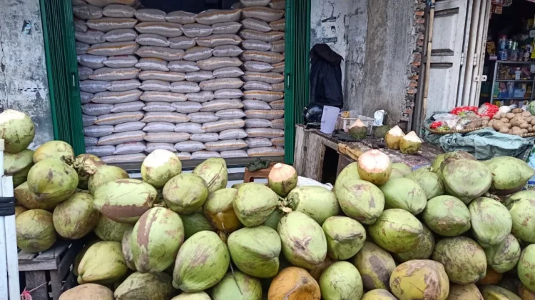 Usaha Kelapa Warisan Keluarga Bertahan Hingga Sekarang