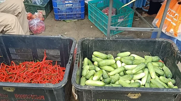 Cabai Dua Ton Ludes saat Bazar Ramadan di Bojonegara